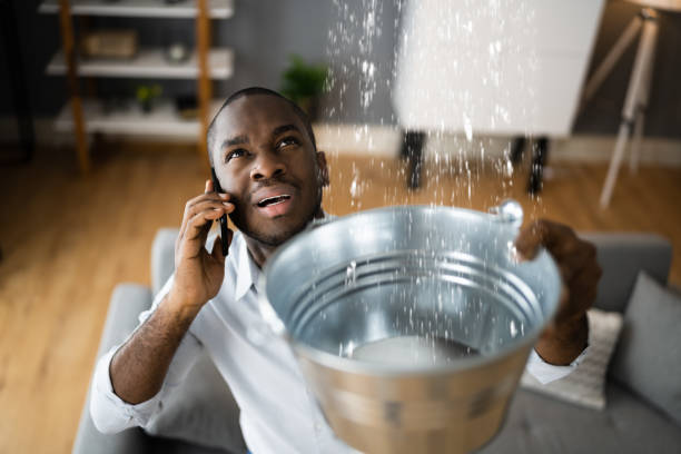 Best Flood damage cleanup  in Little Round Lake, WI