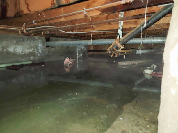 Little Round Lake, WI Water damage restoration Company