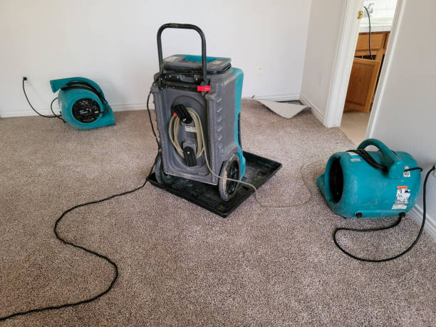 Best Ceiling water damage repair  in Little Round Lake, WI