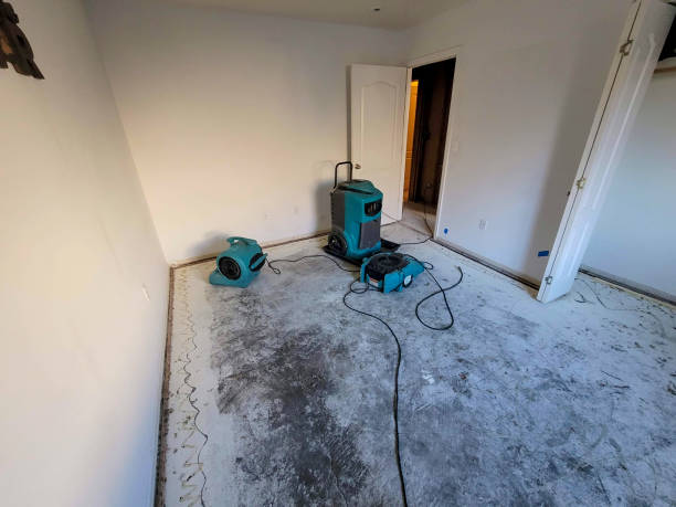 Best Water damage restoration near me  in Little Round Lake, WI