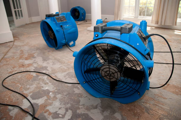 Best Ceiling water damage repair  in Little Round Lake, WI