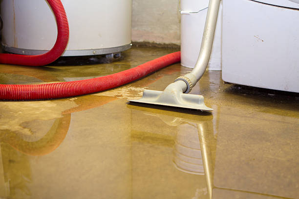 Best Ceiling water damage repair  in Little Round Lake, WI