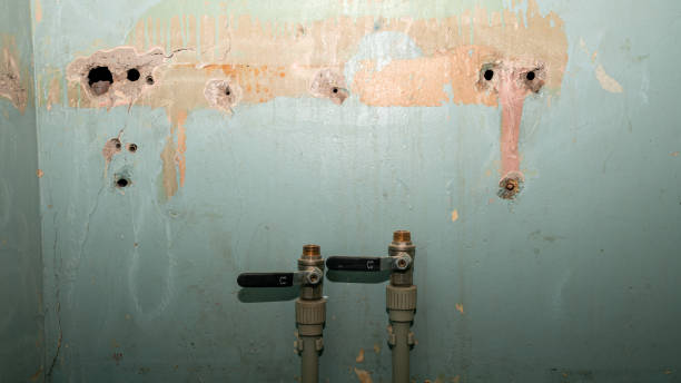 Water damage restoration mold remediation in Little Round Lake, WI