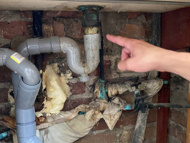 Best Professional water damage repair  in Little Round Lake, WI